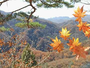 IU李智恩最新圖片獲取指南，獨(dú)家呈現(xiàn)李智恩最新照片集萃