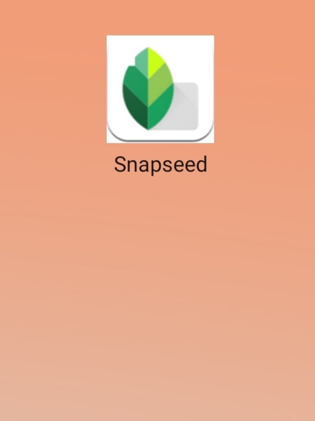 最新snapseed中文版，科技重塑影像，讓生活因攝影更精彩