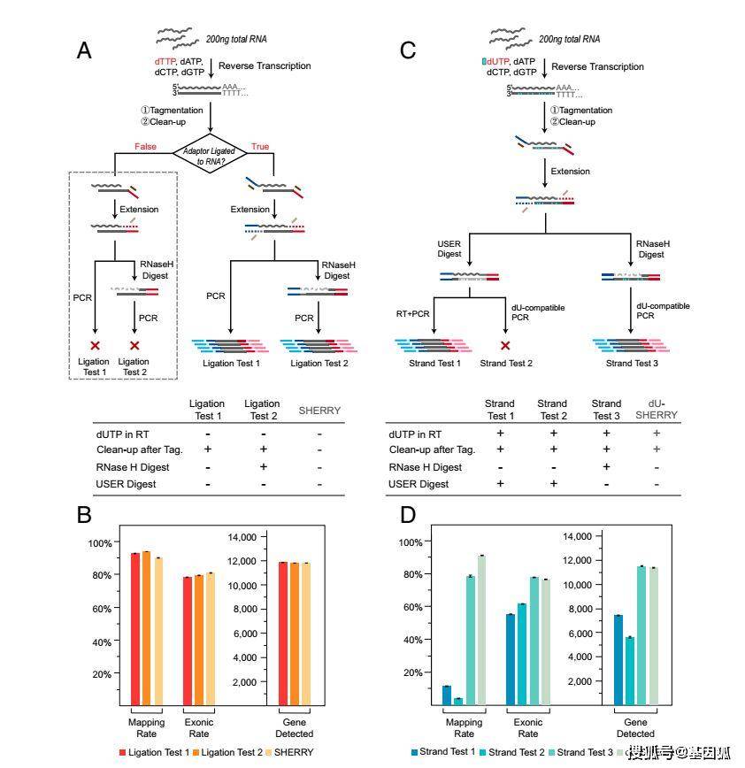 新澳門49圖資料,科學(xué)分析嚴(yán)謹(jǐn)解釋_BDU85.735跨平臺版