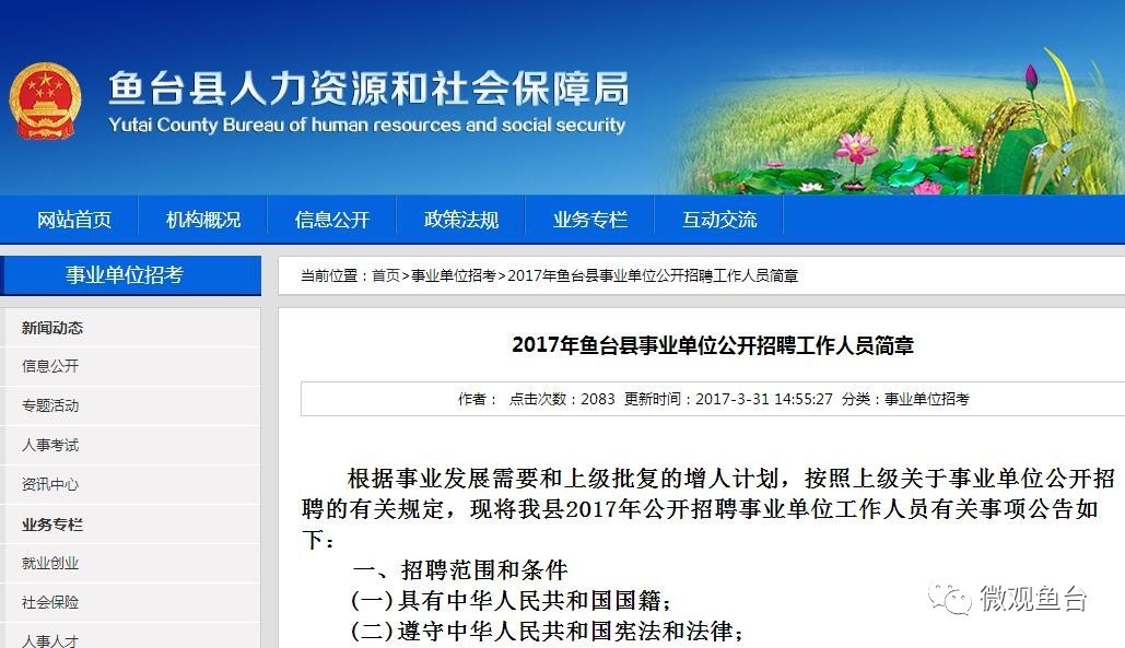 魚臺最新招聘信息大全，求職步驟指南與招聘信息更新速遞