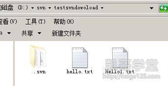 Jav最新網(wǎng)址探索，小巷深處的獨特風味之旅