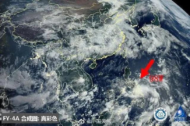 臺風(fēng)鸚鵡的最新動態(tài)，逆風(fēng)翱翔的力量與學(xué)習(xí)魅力