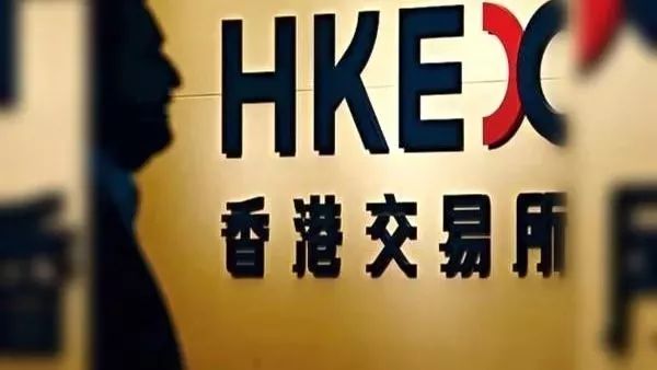 海外歸來最新動態(tài)，全面解讀最新資訊