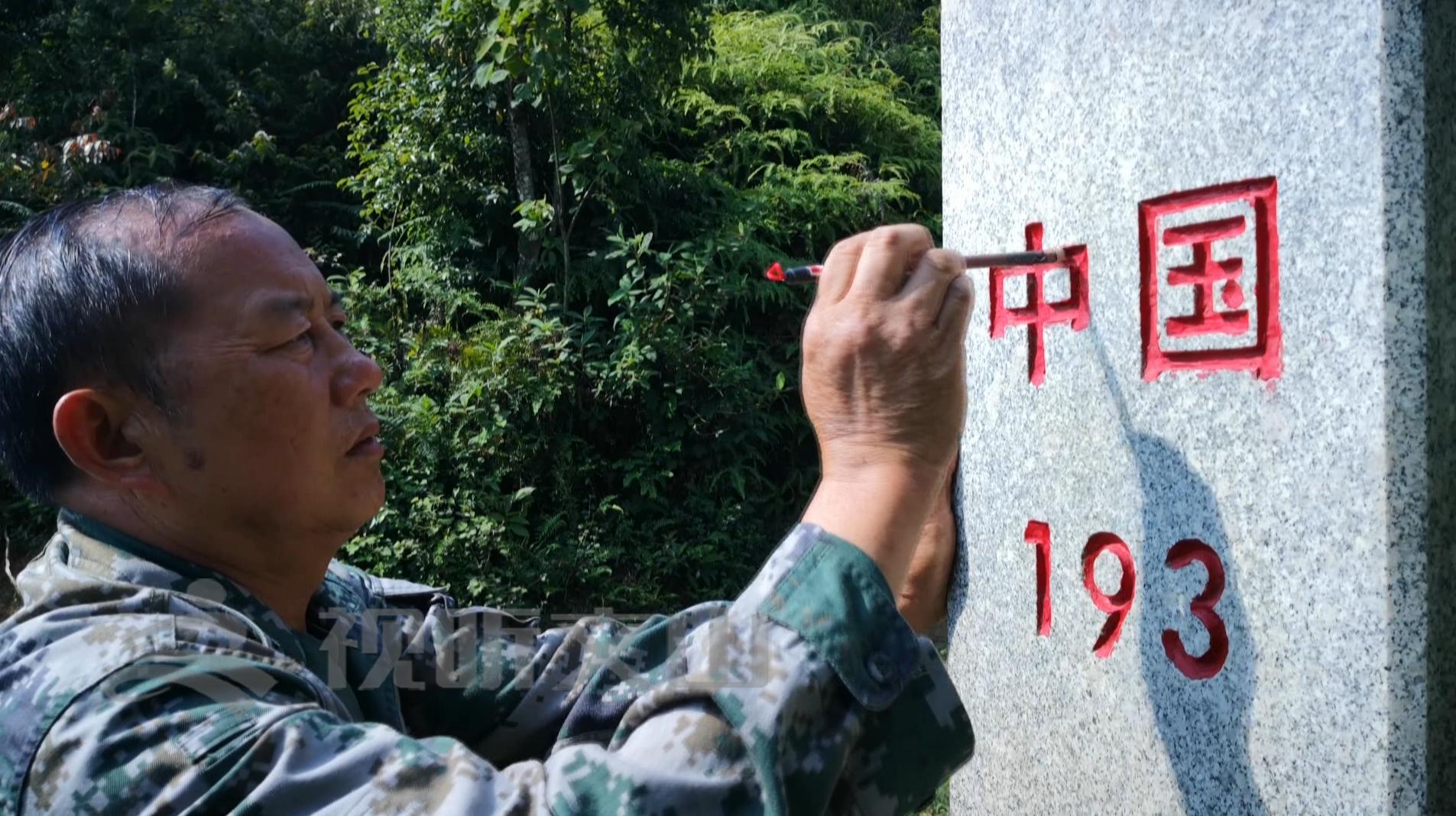 文山黃牛打架比賽，傳統(tǒng)與爭(zhēng)議的碰撞