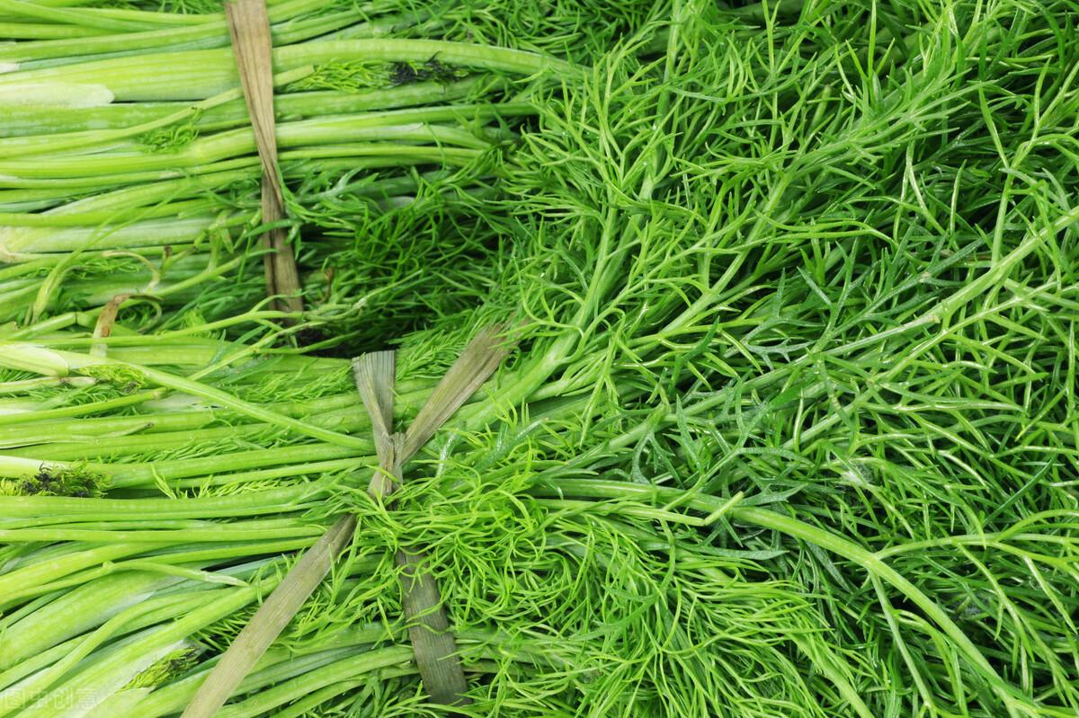 茴香價(jià)格動(dòng)態(tài)，香氣變化與你的關(guān)聯(lián)