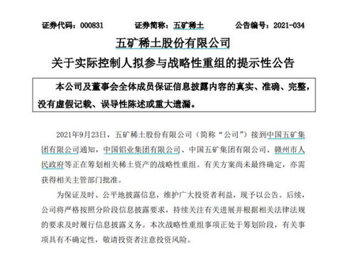 南方稀土股票，小巷中的隱秘寶藏，探索投資魅力的未知之旅