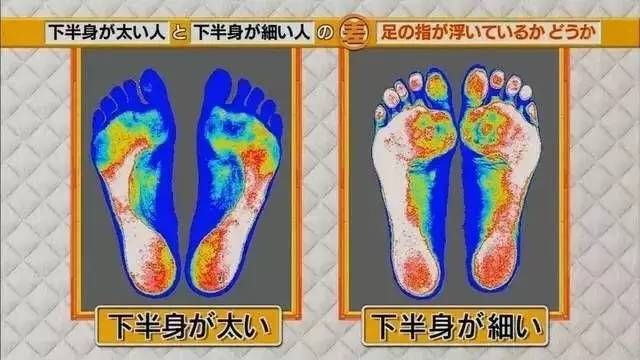 最新地趾論述，探索、爭(zhēng)議與觀點(diǎn)綜述